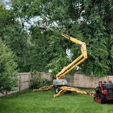 Best Commercial Tree Services  in Centerport, NY