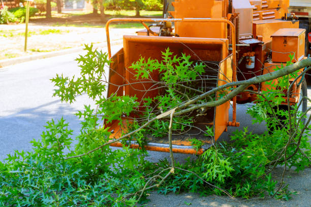 Lawn Watering Services in Centerport, NY